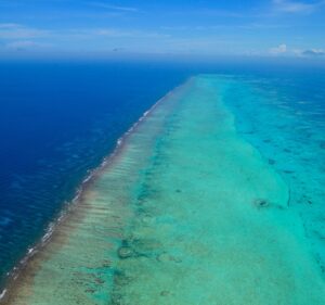 Sapodilla Cayes Marine Reserve